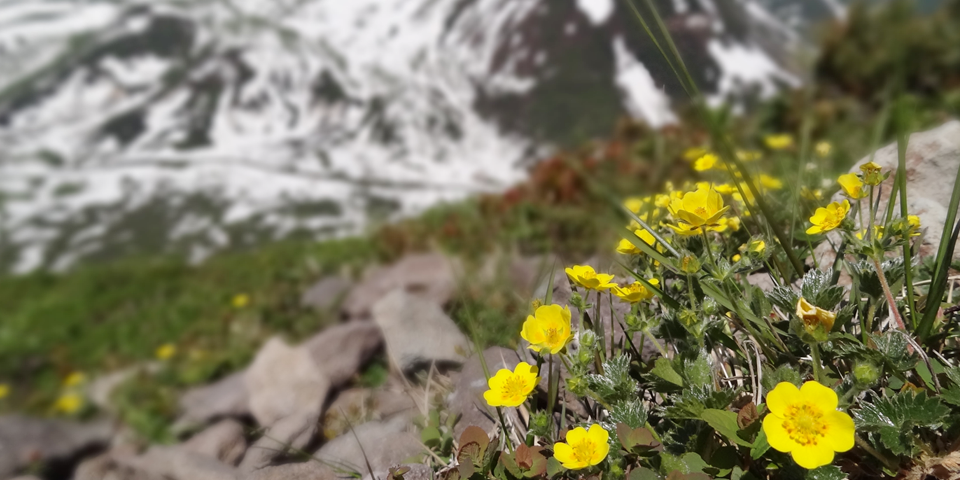 トレッキング(半日)