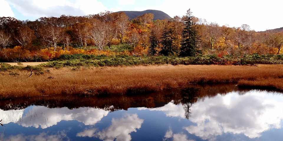 トレッキング(半日)